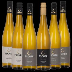 Foto der Flaschen des Probierpaket Riesling, bestehend aus 2x Riesling Junge Reben, 2x Riesling Alte Reben, 1x Riesling Himmelreich Kabinett und 1x Riesling Pulvermächer, des Weingut Escher in Schwaikheim bei Stuttgart im Rems-Murr-Kreis.