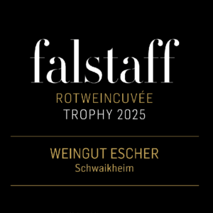 Urkunde zur Auszeichnung bei Rotweincuvée von falstaff Weinguide Deutschland 2025